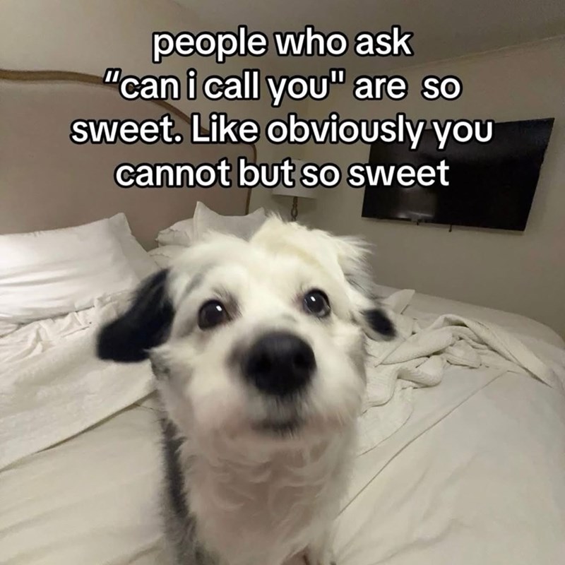 people who ask "can i call you" are so sweet. Like obviously you cannot but so sweet