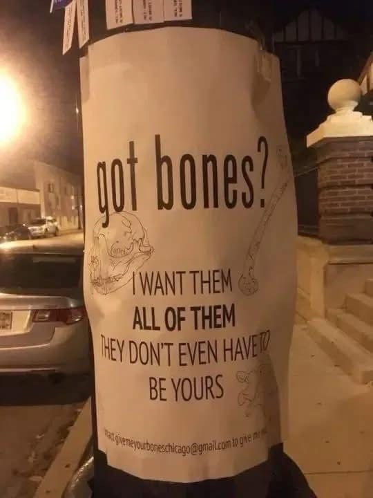 got bones? I WANT THEM ALL OF THEM THEY DON'T EVEN HAVETO BE YOURS en givemeyourboneschicago@gmail.com to give or