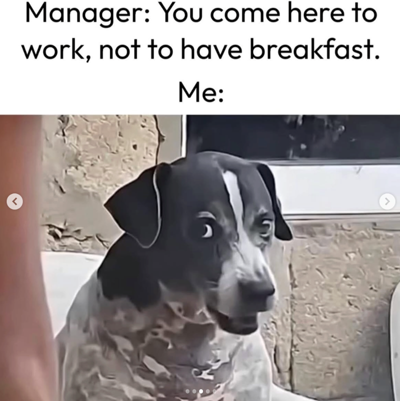 Manager: You come here to work, not to have breakfast. Me: >