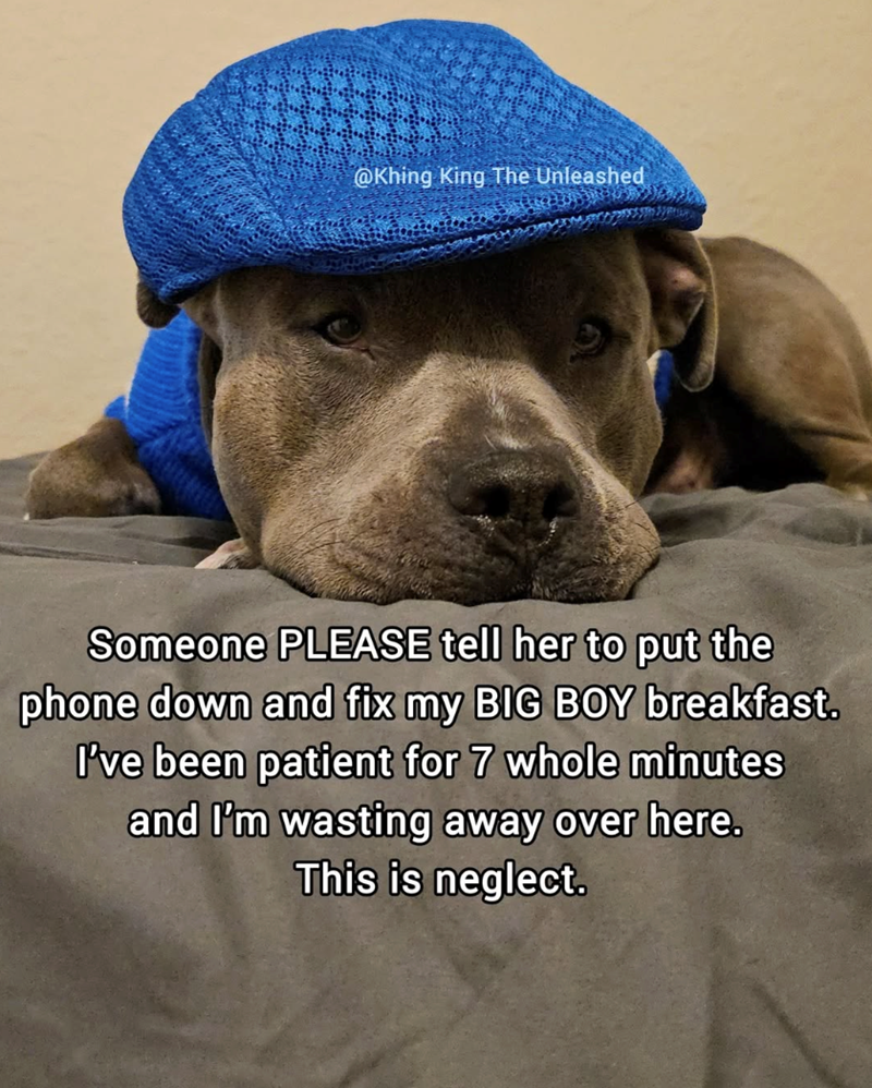 @Khing King The Unleashed Someone PLEASE tell her to put the phone down and fix my BIG BOY breakfast. I've been patient for 7 whole minutes and I'm wasting away over here. This is neglect.