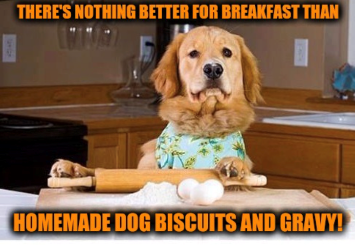 THERE'S NOTHING BETTER FOR BREAKFAST THAN HOMEMADE DOG BISCUITS AND GRAVY!