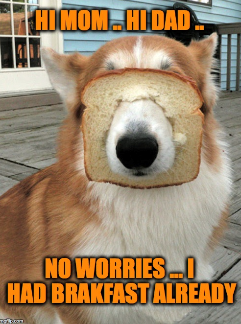 HI MOM HIDAD NO WORRIES...I HAD BRAKFAST ALREADY mgflip.com