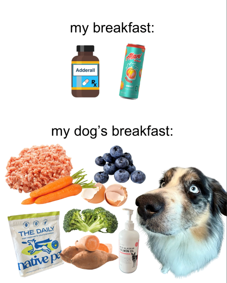 THE DAILY my breakfast: Adderall Alan my dog's breakfast: native pe ALASKAN SALMON OIL