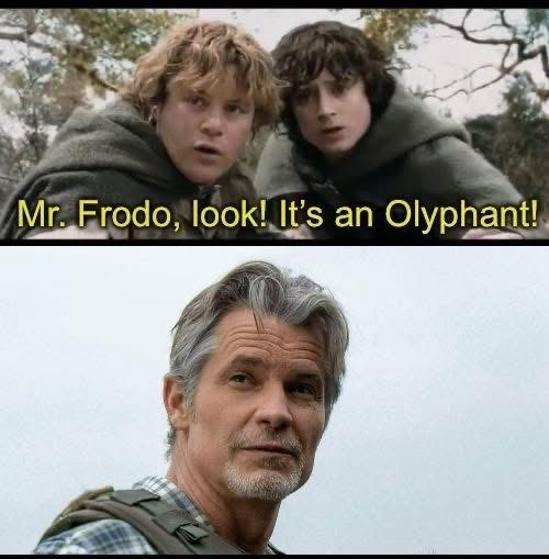 Mr. Frodo, look! It's an Olyphant!