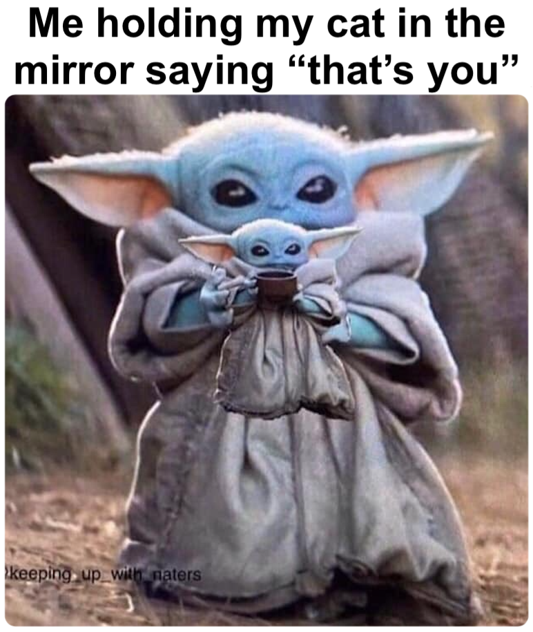 Me holding my cat in the mirror saying "that's you” keeping up with maters