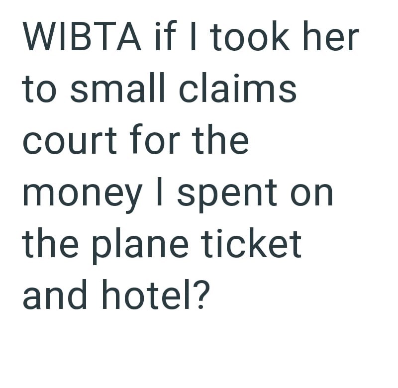 WIBTA if I took her to small claims court for the money I spent on the plane ticket and hotel?