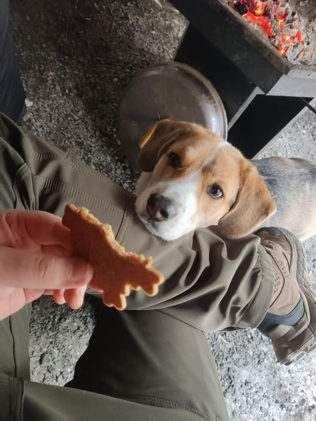 Cheezburger Image 10606610176