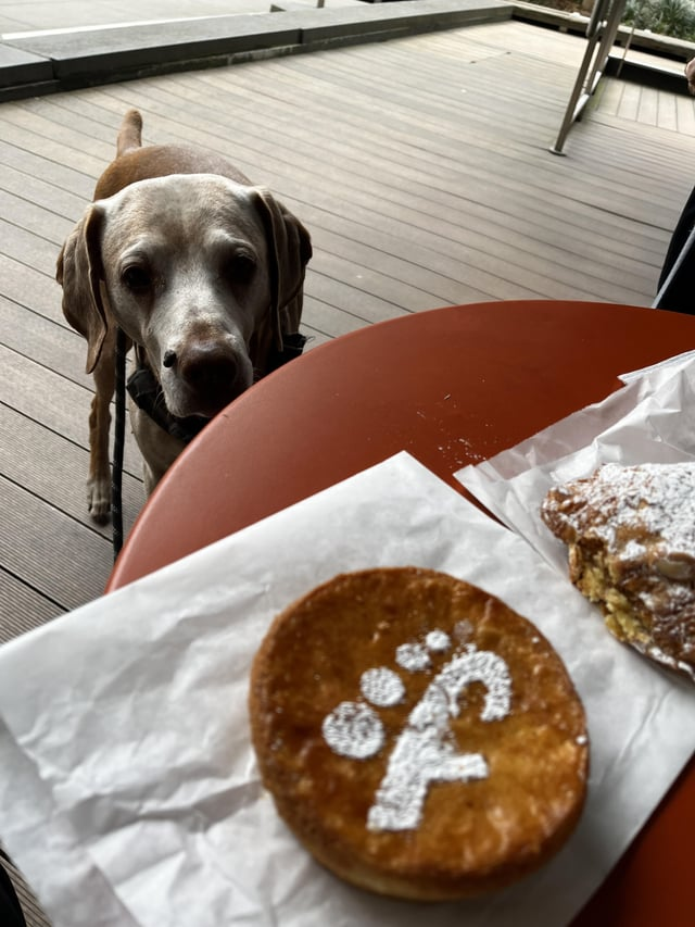 Cheezburger Image 10606611200