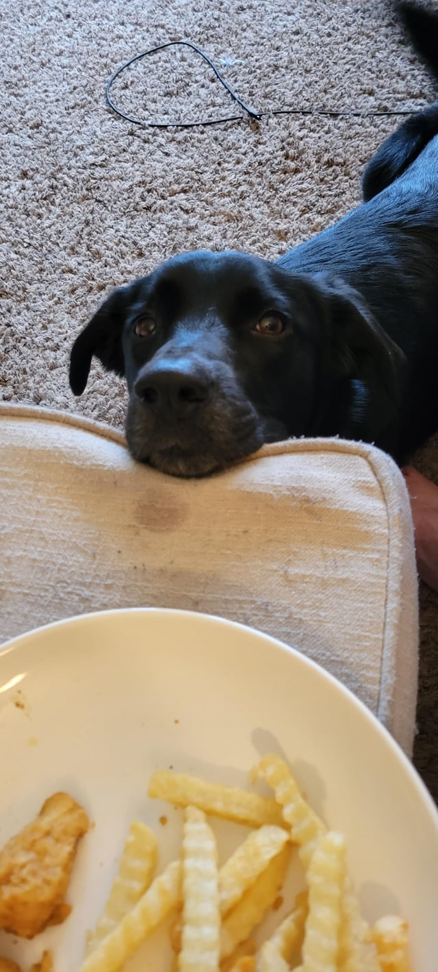 Cheezburger Image 10606612480