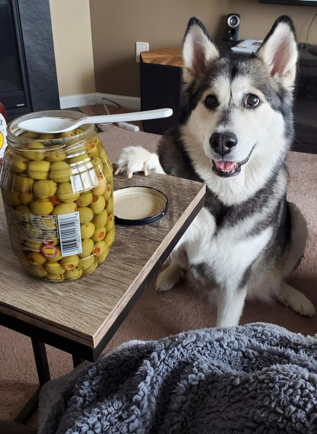 Cheezburger Image 10606614528