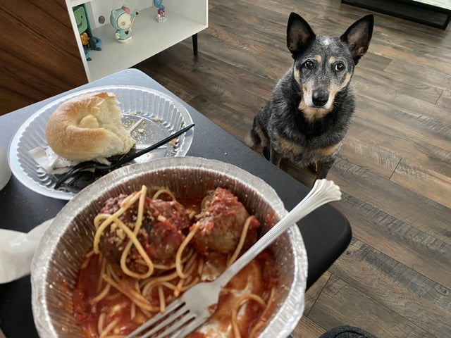 Cheezburger Image 10606615552