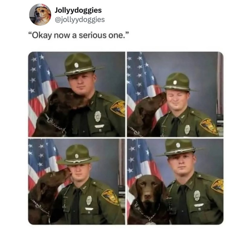 Jollyydoggies @jollyydoggies "Okay now a serious one."