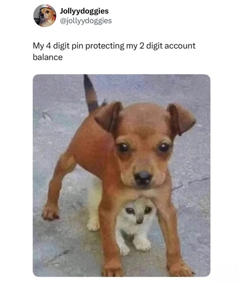 Jollyydoggies @jollyydoggies My 4 digit pin protecting my 2 digit account balance