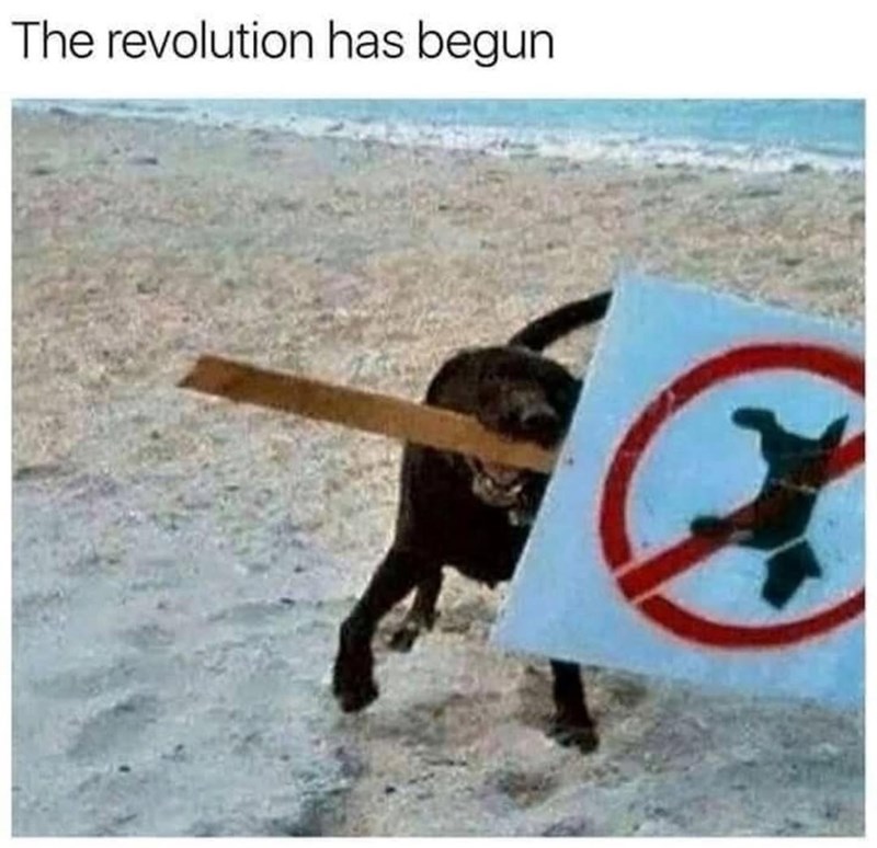 The revolution has begun