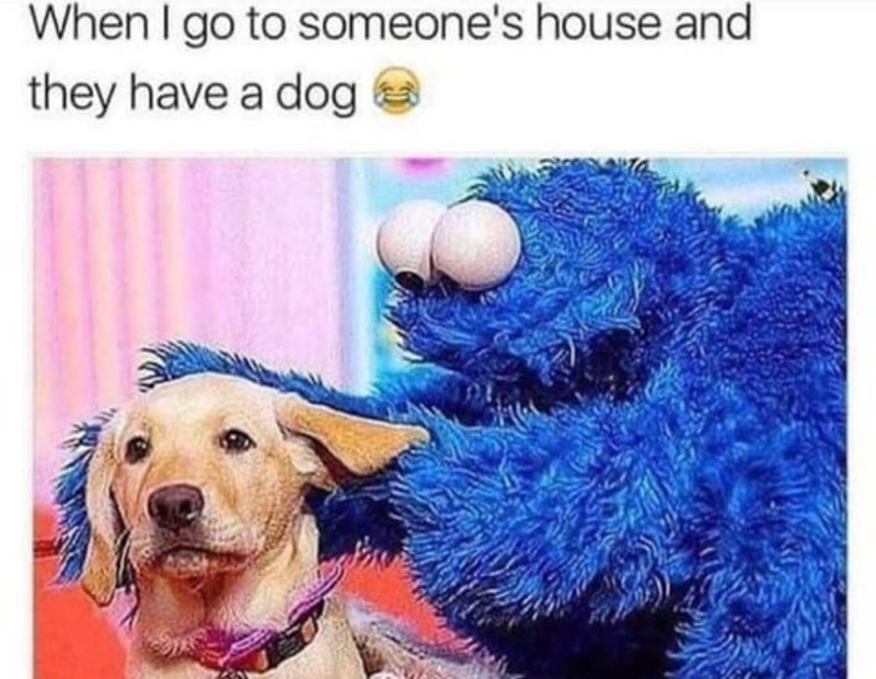 When I go to someone's house and they have a dog