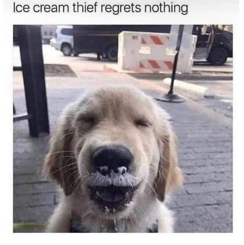 Ice cream thief regrets nothing