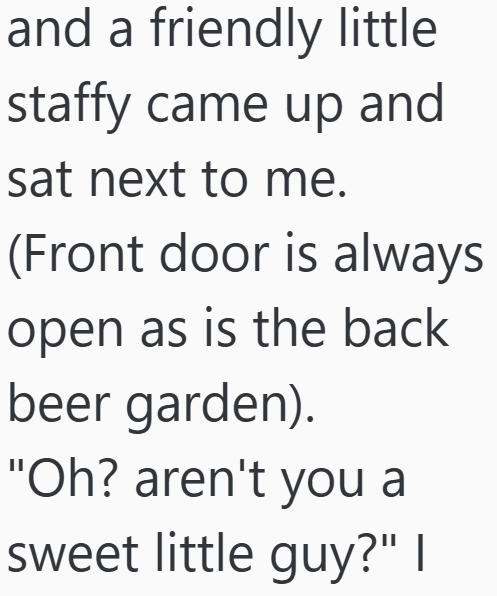 and a friendly little staffy came up and sat next to me. (Front door is always open as is the back beer garden). "Oh? aren't you a sweet little guy?" |