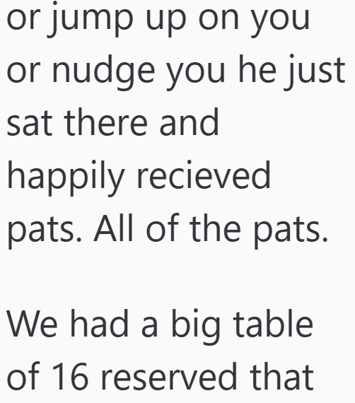 or jump up on you or nudge you he just sat there and happily recieved pats. All of the pats. We had a big table of 16 reserved that