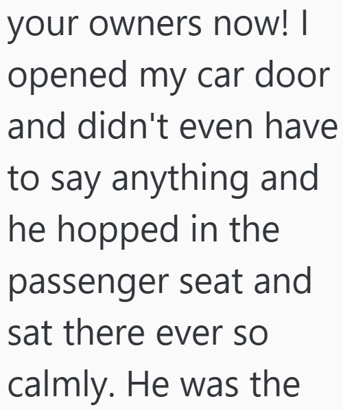 your owners now! I opened my car door and didn't even have to say anything and he hopped in the passenger seat and sat there ever so calmly. He was the