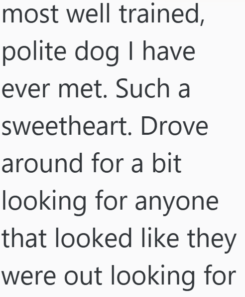 most well trained, polite dog I have ever met. Such a sweetheart. Drove around for a bit looking for anyone that looked like they were out looking for