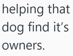 helping that dog find it's owners.