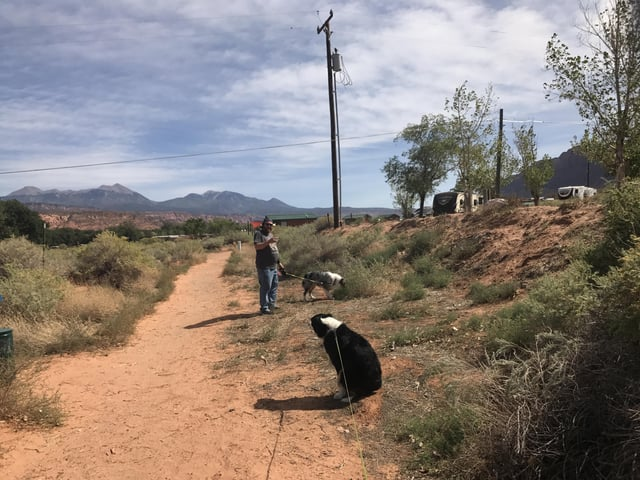 Cheezburger Image 10606630144