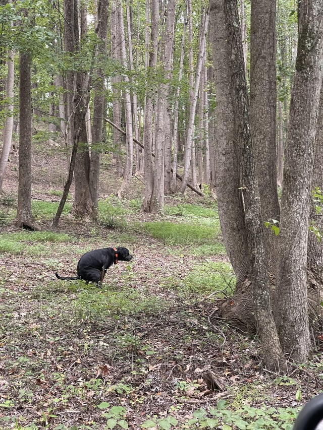 Cheezburger Image 10606630400