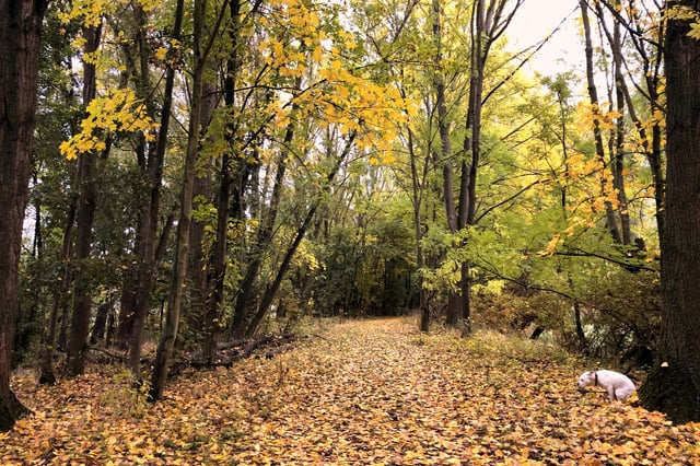 Cheezburger Image 10606630656