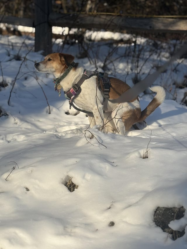 Cheezburger Image 10606631424