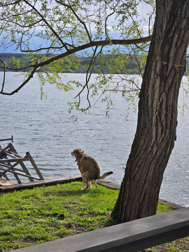 Cheezburger Image 10606631680