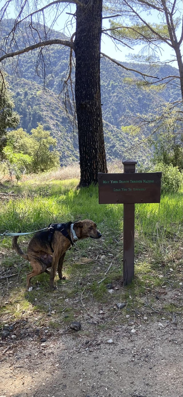 MAY YOUR SEARCH THROUGH NATURE... LEAD YOU TO YOURSELF