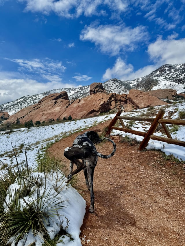 Cheezburger Image 10606632192