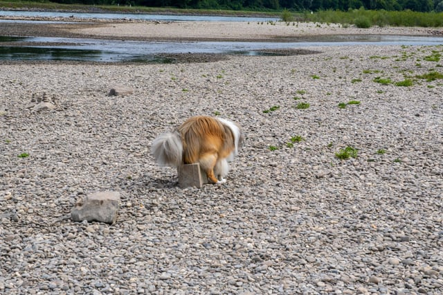 Cheezburger Image 10606632448