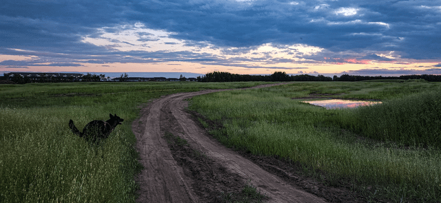 Cheezburger Image 10606633472