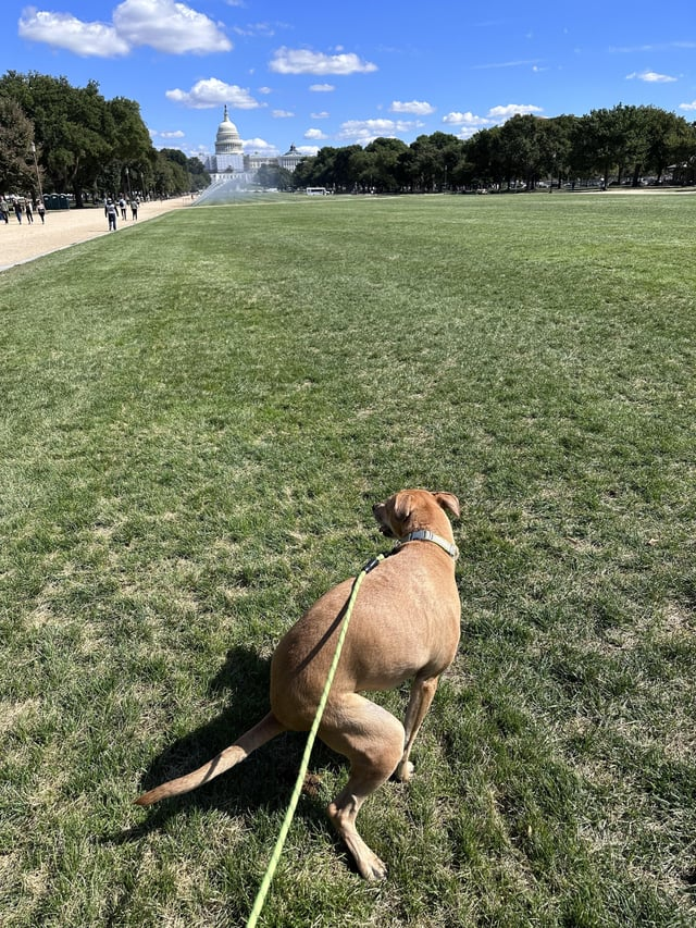 Cheezburger Image 10606633984