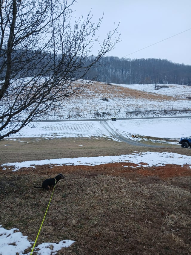 Cheezburger Image 10606634240