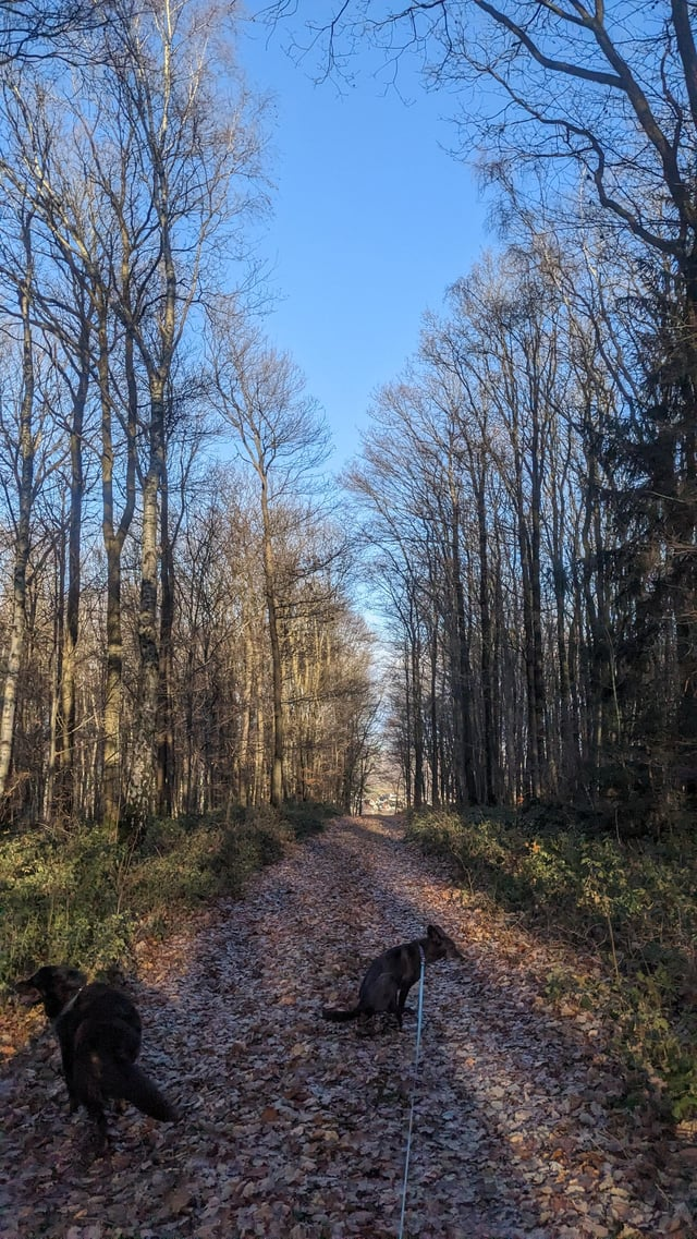 Cheezburger Image 10606635008