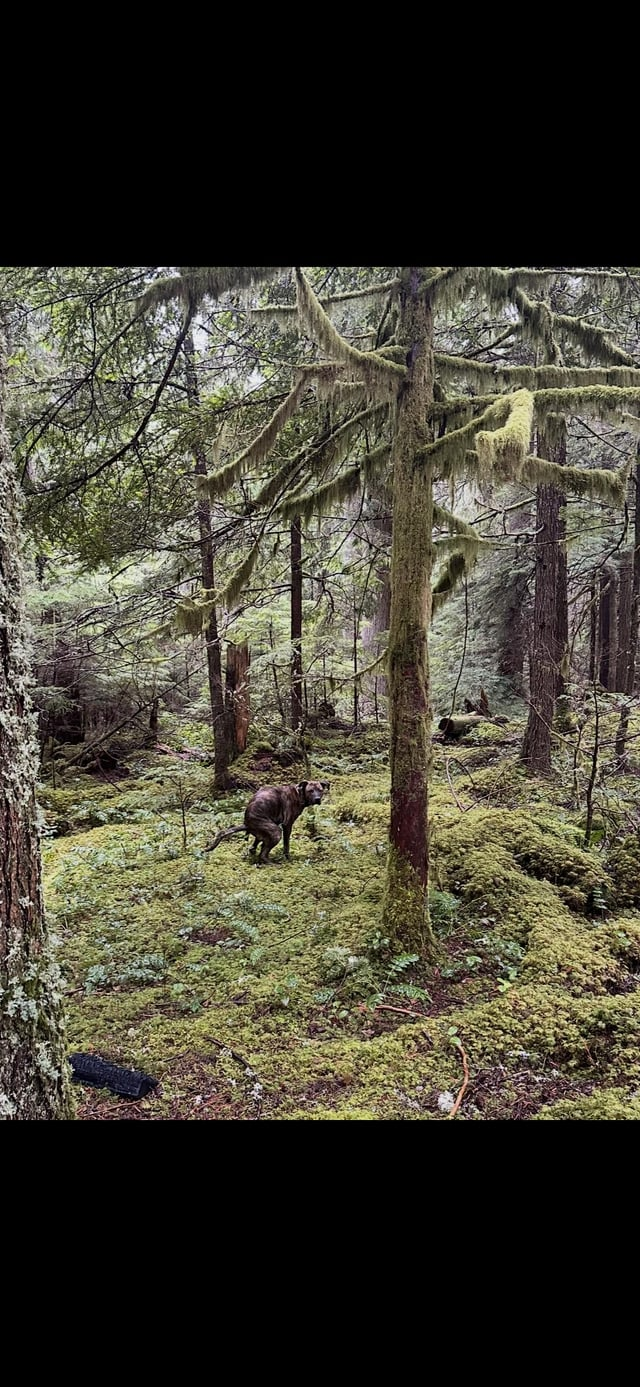 Cheezburger Image 10606635264