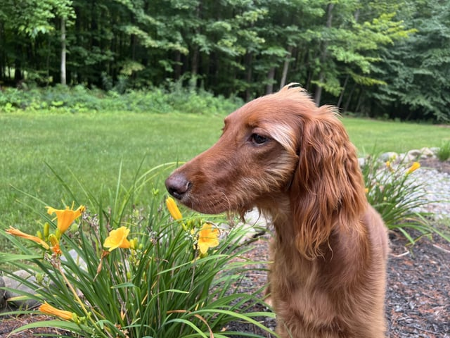 Cheezburger Image 10606635520