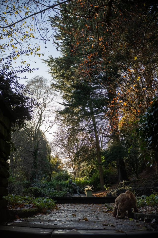 Cheezburger Image 10606636032