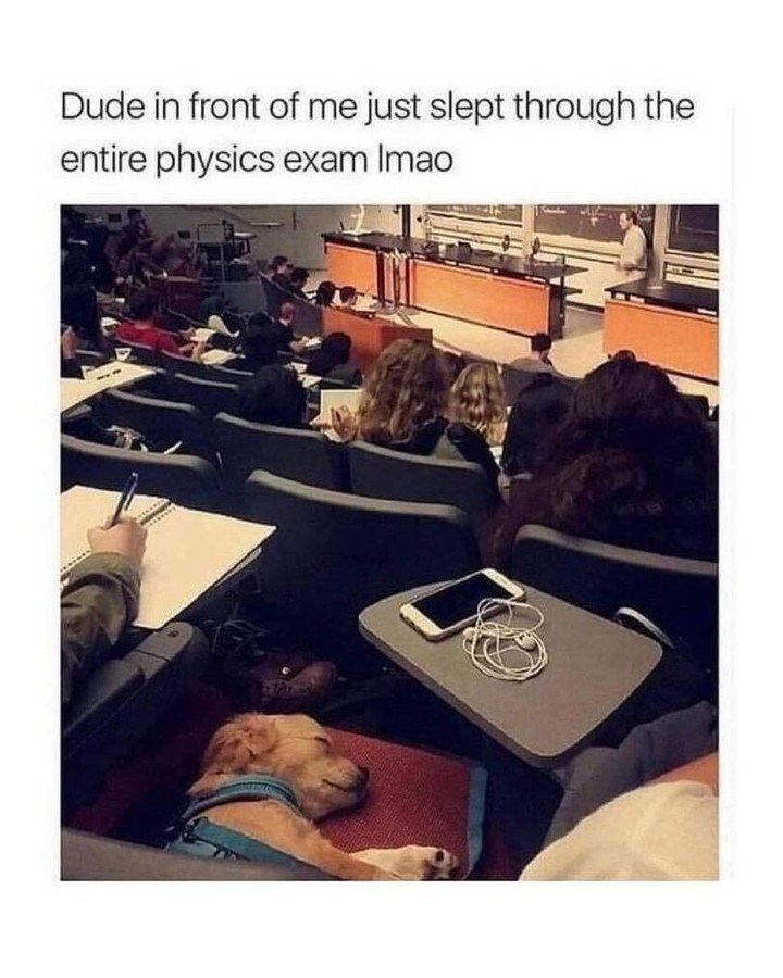 Dude in front of me just slept through the entire physics exam Imao