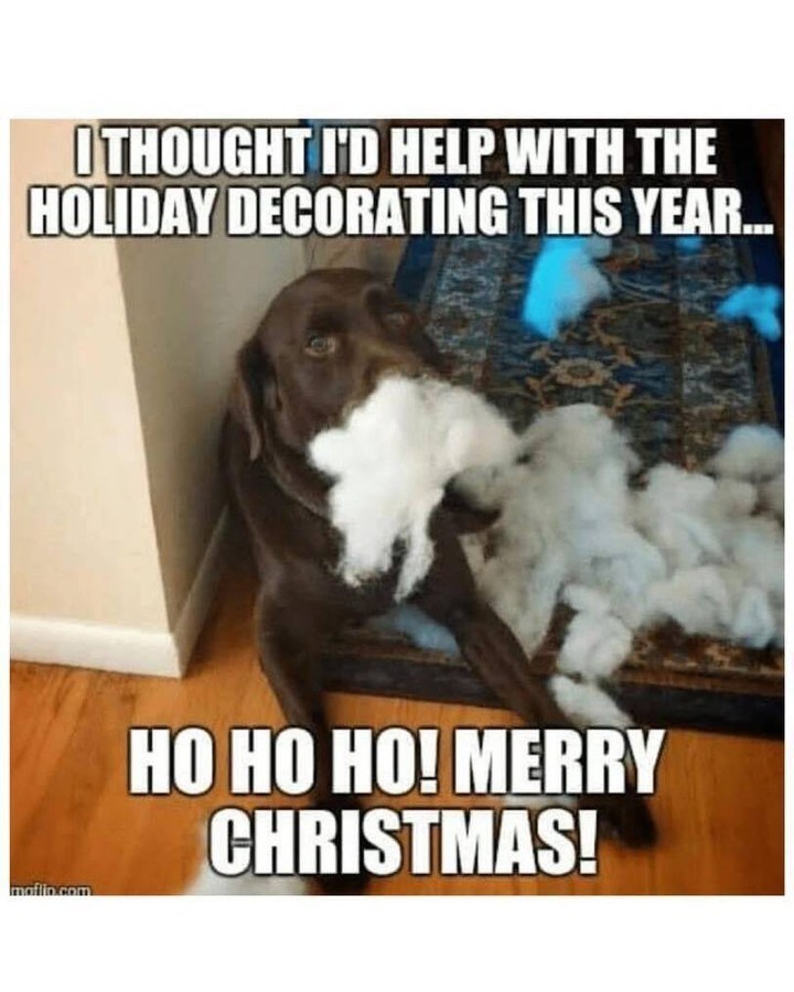 (THOUGHT I'D HELP WITH THE HOLIDAY DECORATING THIS YEAR... mafio.com HO HO HO! MERRY CHRISTMAS!