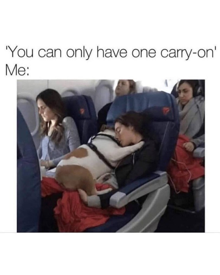 'You can only have one carry-on' Me: