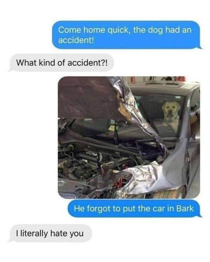 Come home quick, the dog had an accident! What kind of accident?! He forgot to put the car in Bark I literally hate you