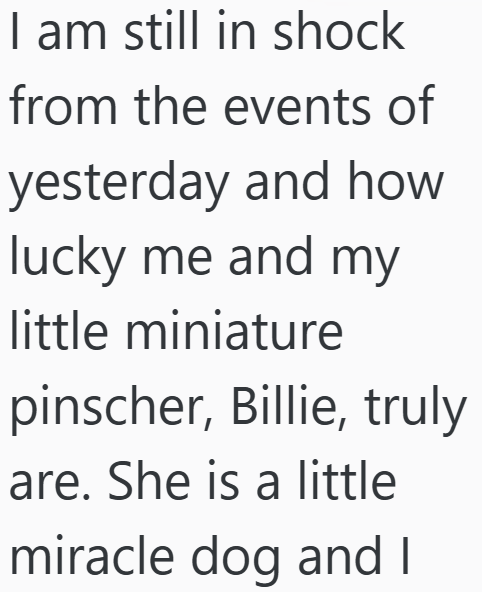 I am still in shock from the events of yesterday and how lucky me and my little miniature pinscher, Billie, truly are. She is a little miracle dog and I