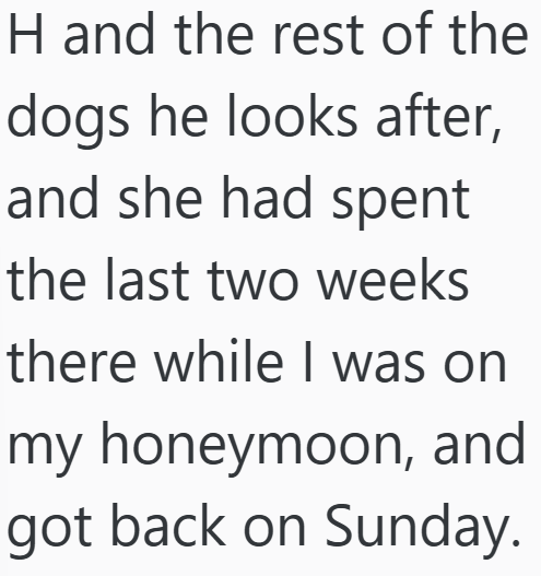 H and the rest of the dogs he looks after, and she had spent the last two weeks there while I was on my honeymoon, and got back on Sunday.