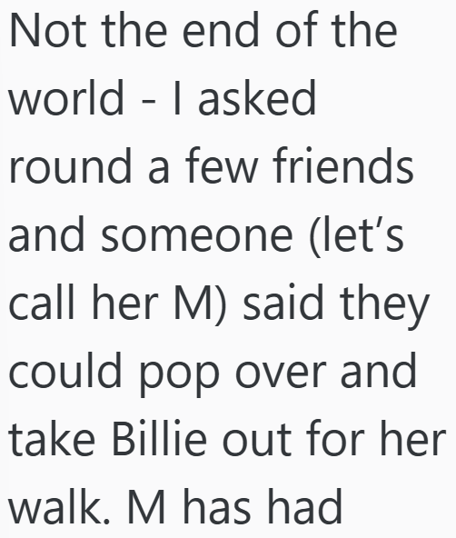 Not the end of the world - I asked round a few friends and someone (let's call her M) said they could pop over and take Billie out for her walk. M has had