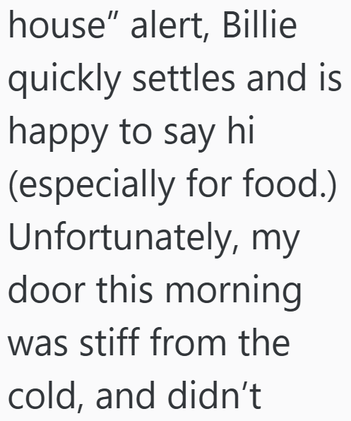 house" alert, Billie quickly settles and is happy to say hi (especially for food.) Unfortunately, my door this morning was stiff from the cold, and didn't