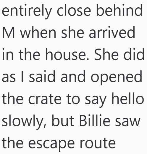 entirely close behind M when she arrived in the house. She did as I said and opened the crate to say hello slowly, but Billie saw the escape route