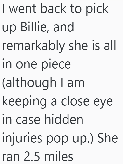 I went back to pick up Billie, and remarkably she is all in one piece (although I am keeping a close eye in case hidden injuries pop up.) She ran 2.5 miles
